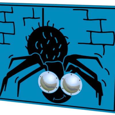 BUG EYES SPIDER PLAY PANEL