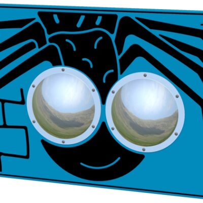 ZOOM BUG EYES SPIDER PLAY PANEL