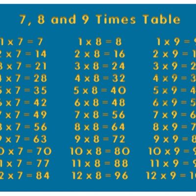 7 8 AND 9 TIMES TABLE PLAY PANEL