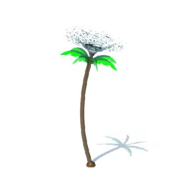 PALM TREE