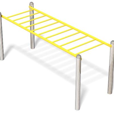 ACCESSIBLE OVERHEAD LADDER