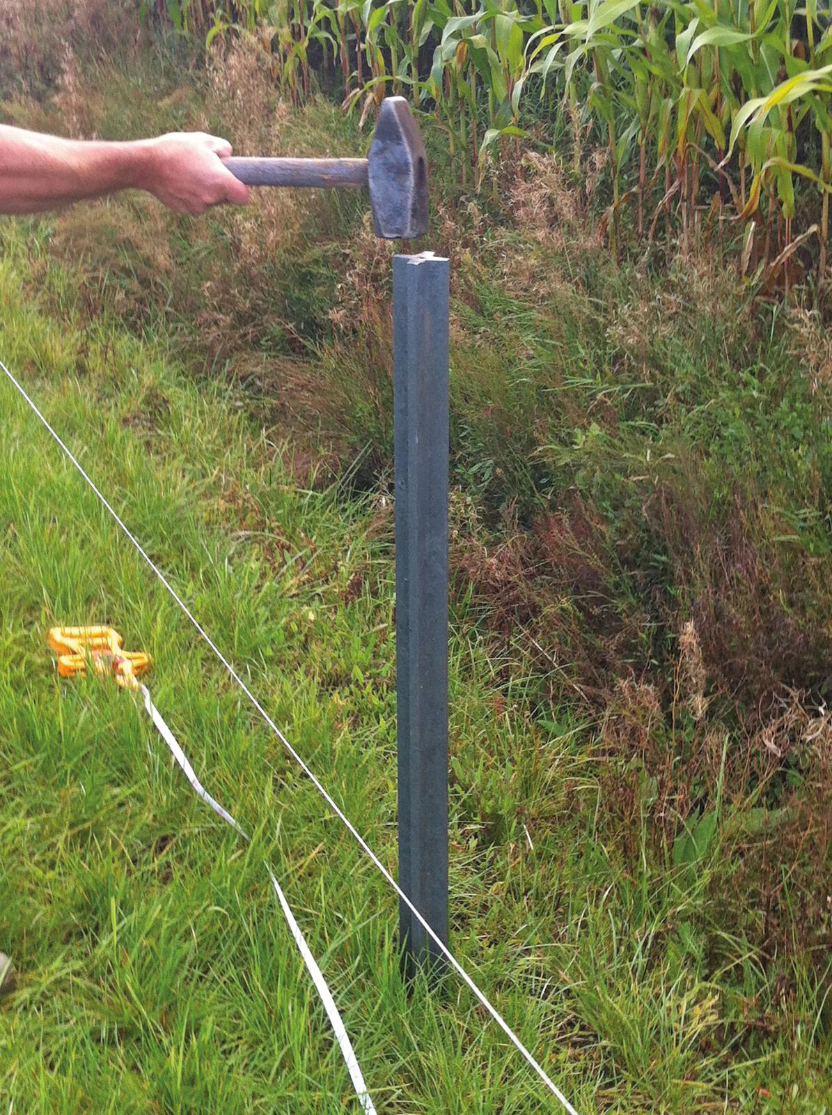 CROSS-PROFILE STAKE - Image 2