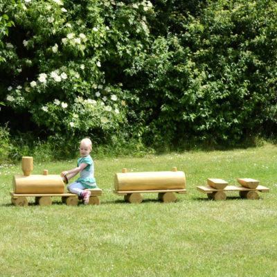 MINI-TRAIN