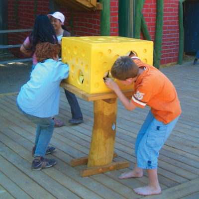 FEEL BOX «CHEESE»