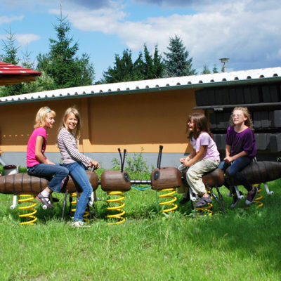 SPRINGER »ANT MEETING«