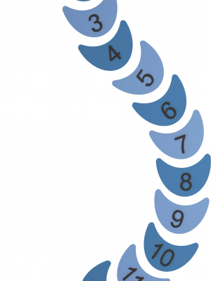 SNAKE WITH NUMBERS