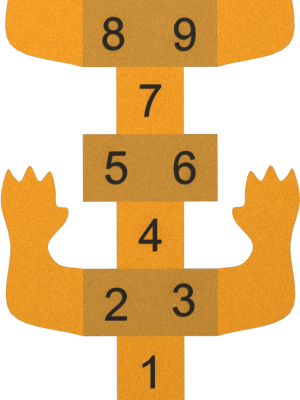 HOPSCOTCH LIZARD