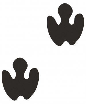 FOOTPRINT - RHINO