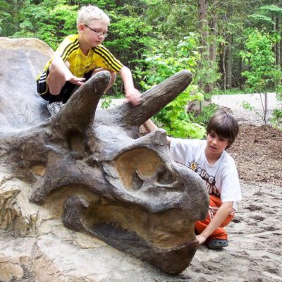 TRICERATOPS CLIMBER