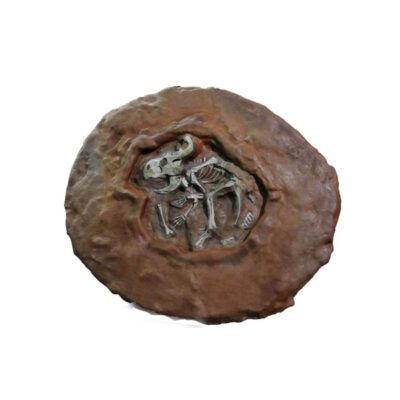 PROTOCERATOPS  DIG