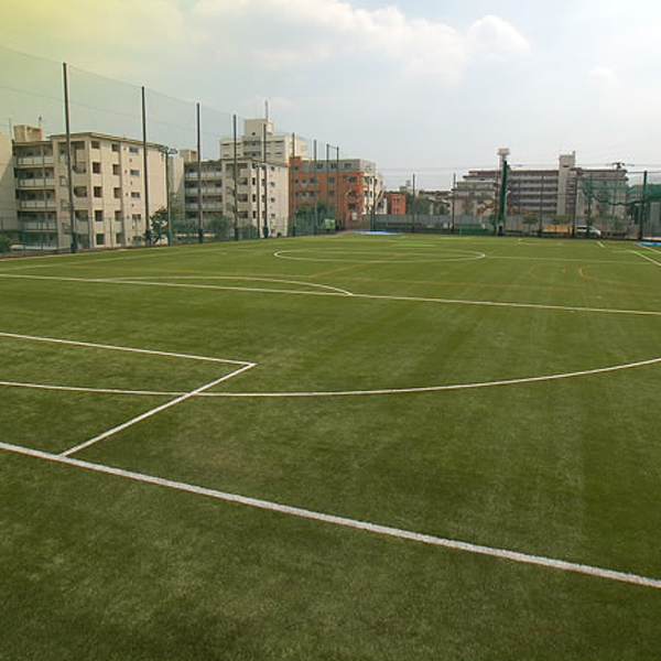 ARTIFICIAL GRASS - Image 2