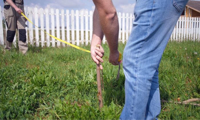 Preparing the Area for fencing