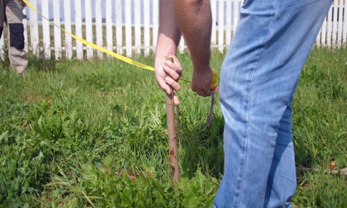Fence Installation