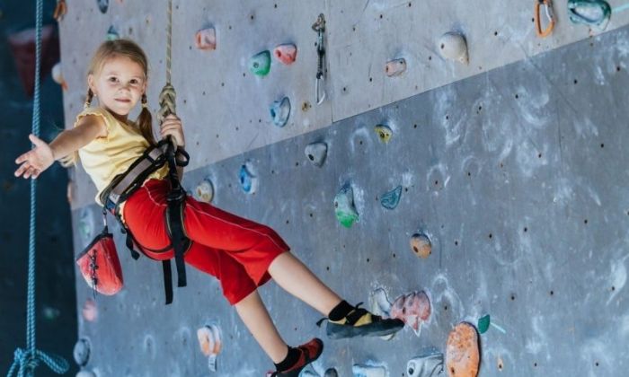 Climbing Structures
