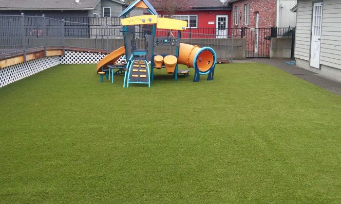 Playground Grass