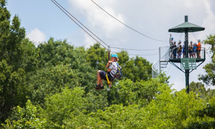 Zip Line